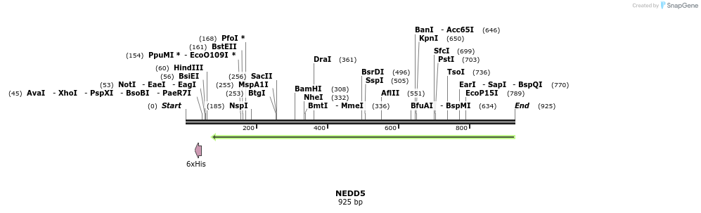 31263_map