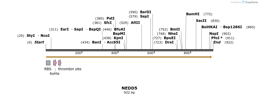 31264_map