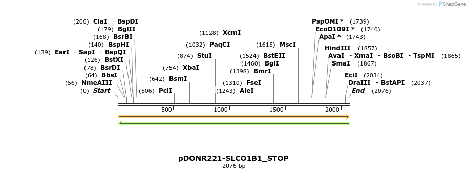 312643_map