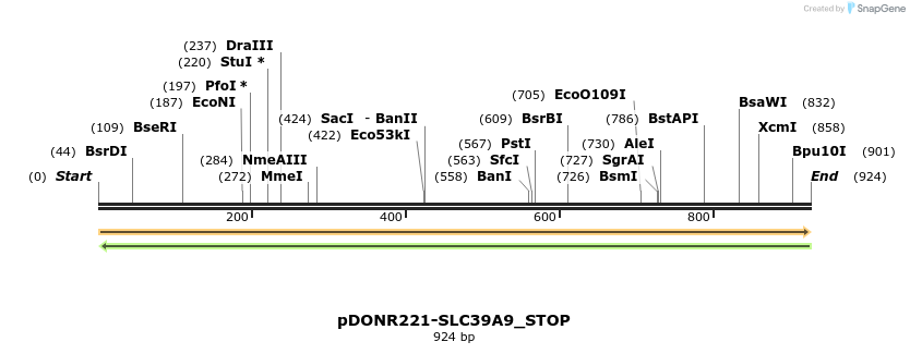 312645_map