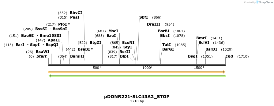 312647_map