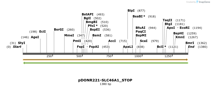 312649_map