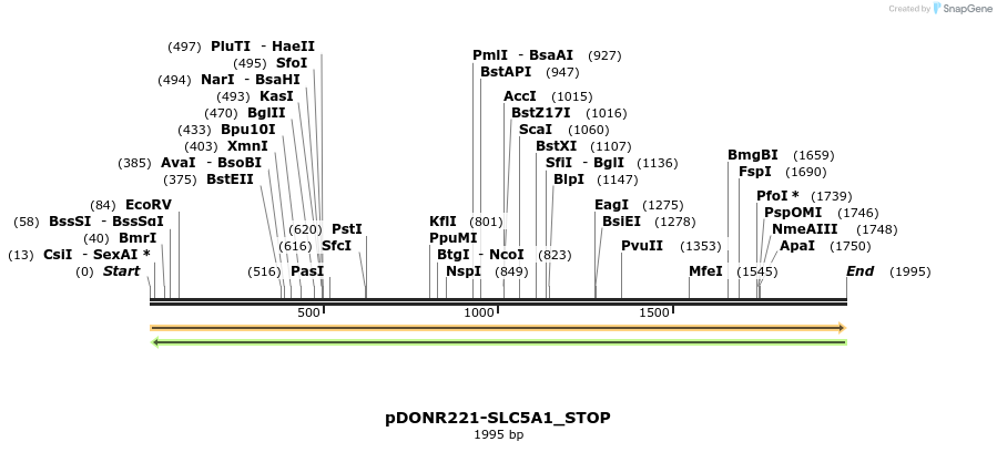 312653_map