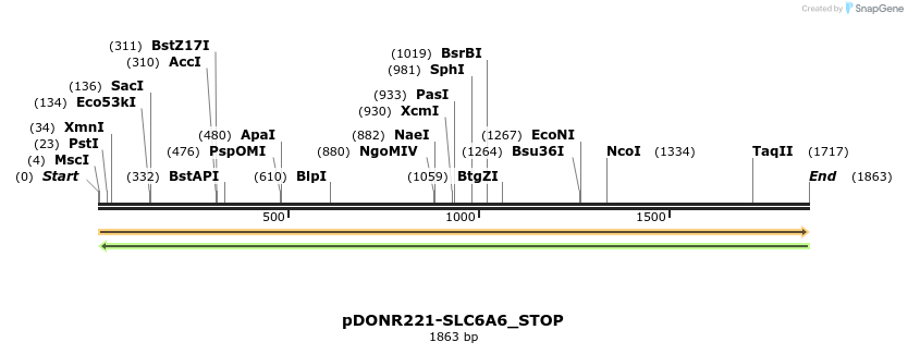 312659_map