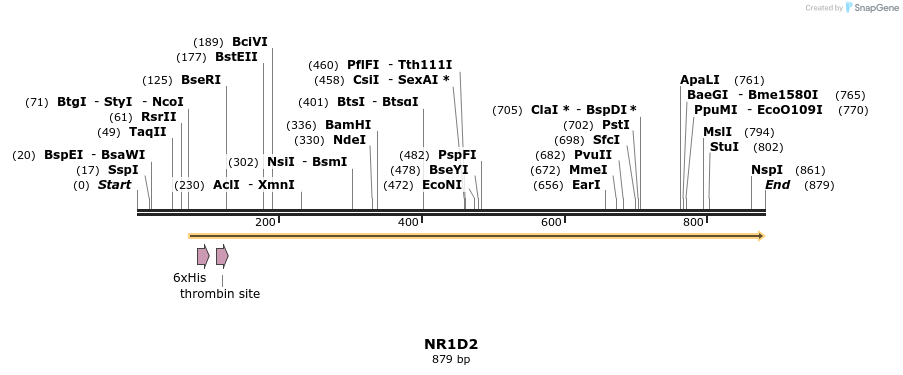 31266_map