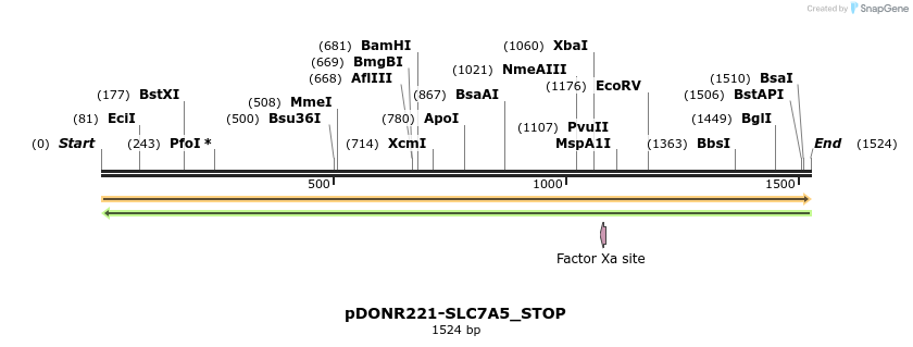 312661_map