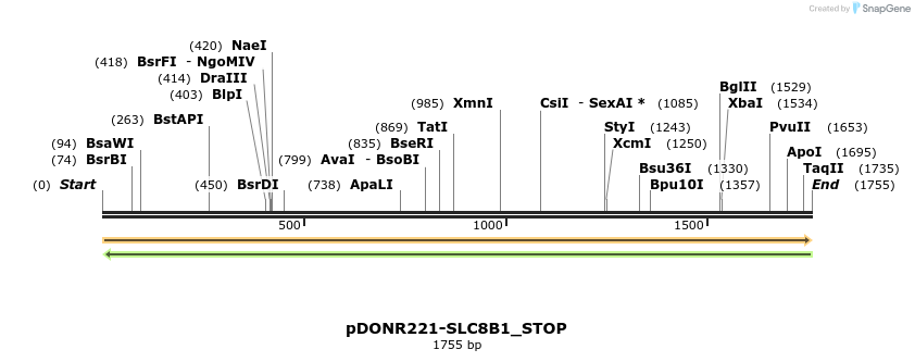 312663_map