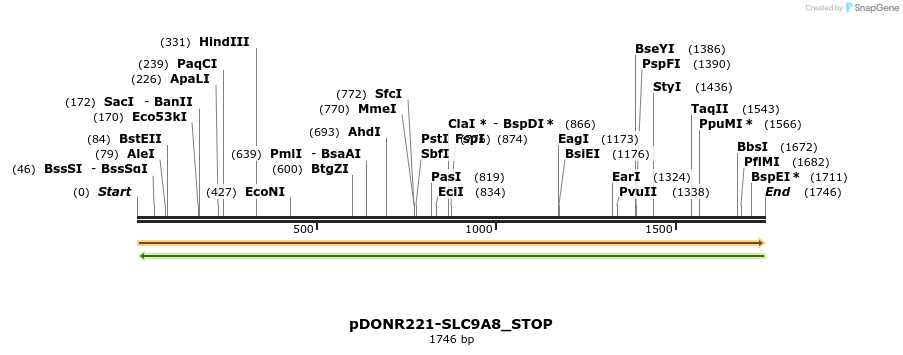 312665_map