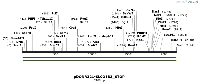 312667_map