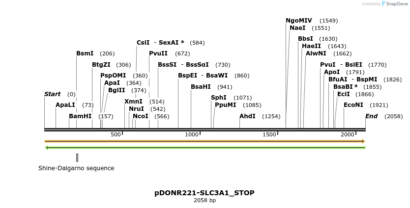 312669_map