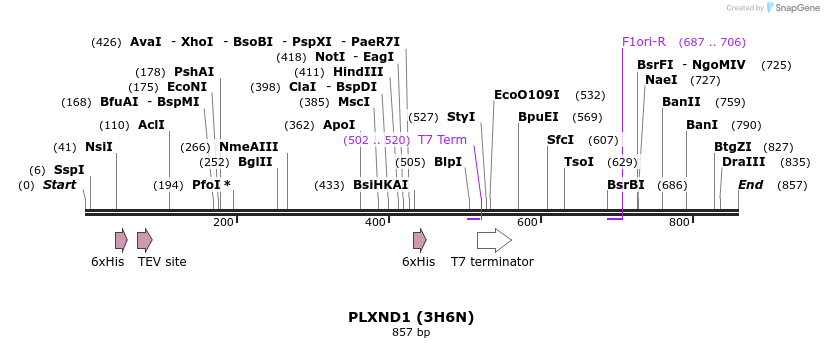 31267_map