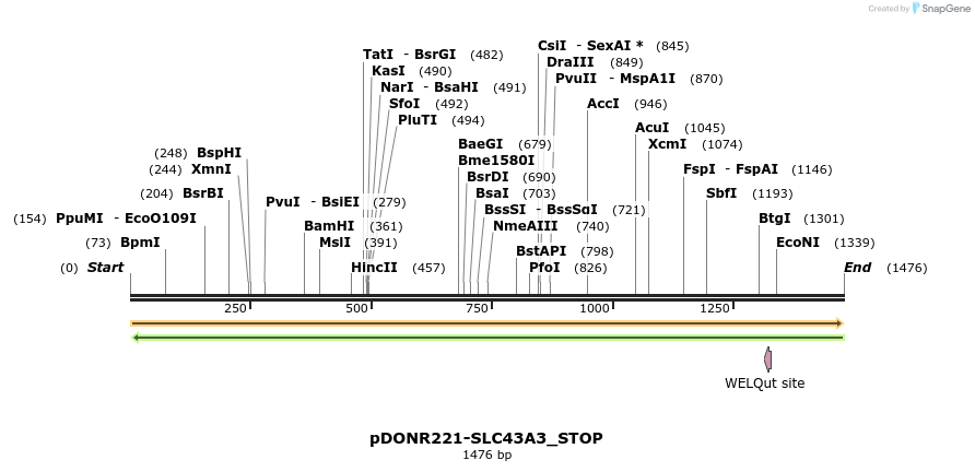 312671_map