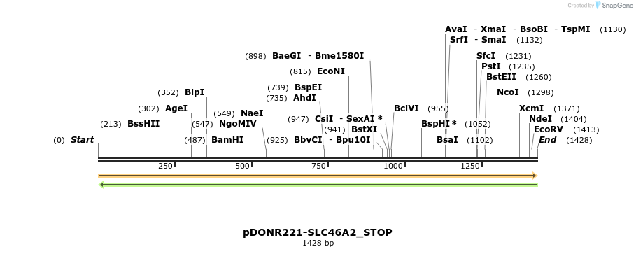 312673_map