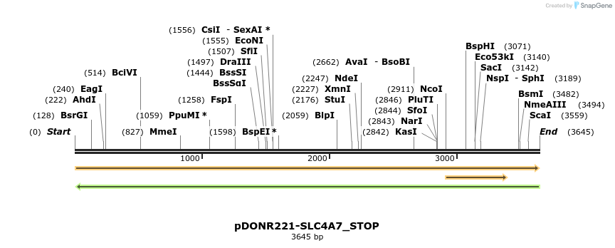312675_map