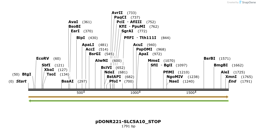 312677_map
