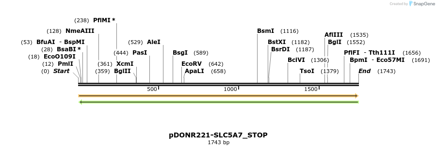 312679_map