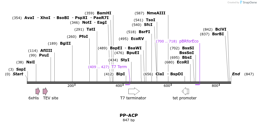 31268_map