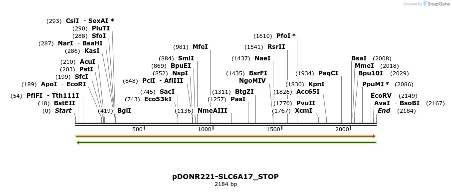 312681_map