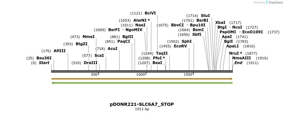 312683_map
