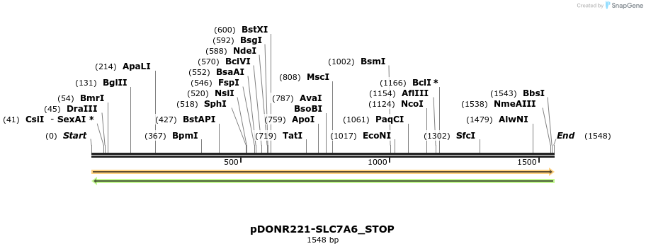312685_map