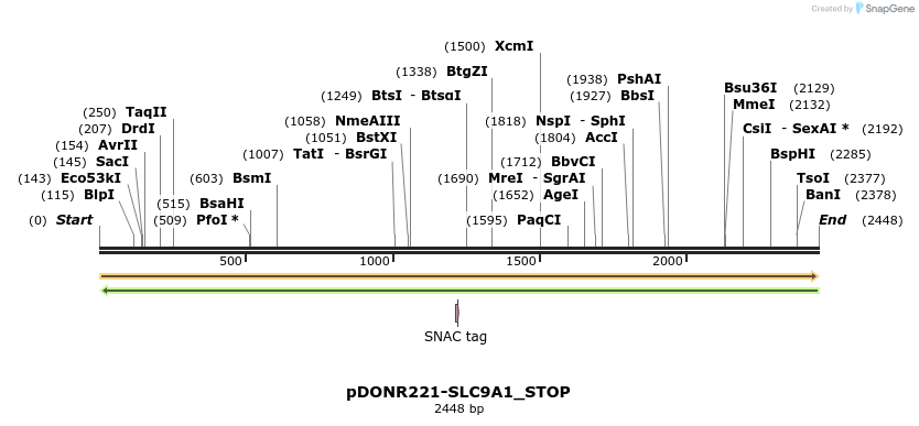 312687_map