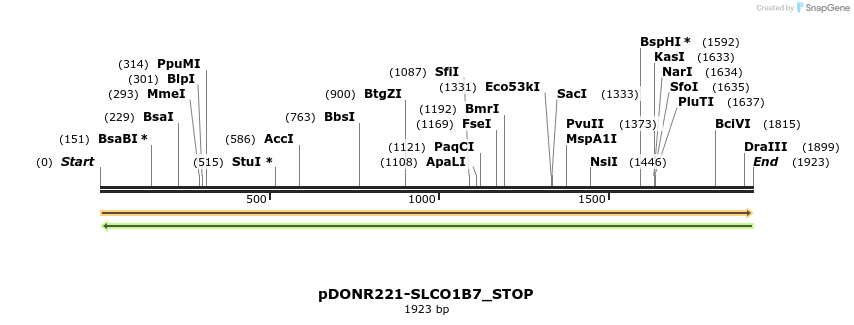 312691_map