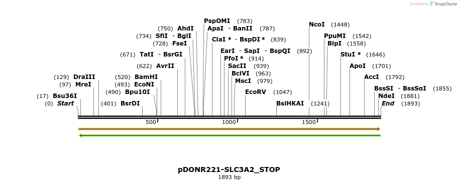 312693_map
