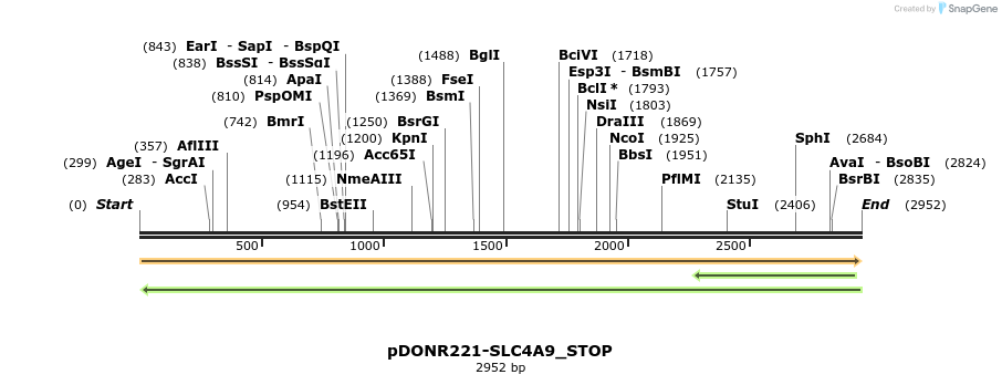 312699_map