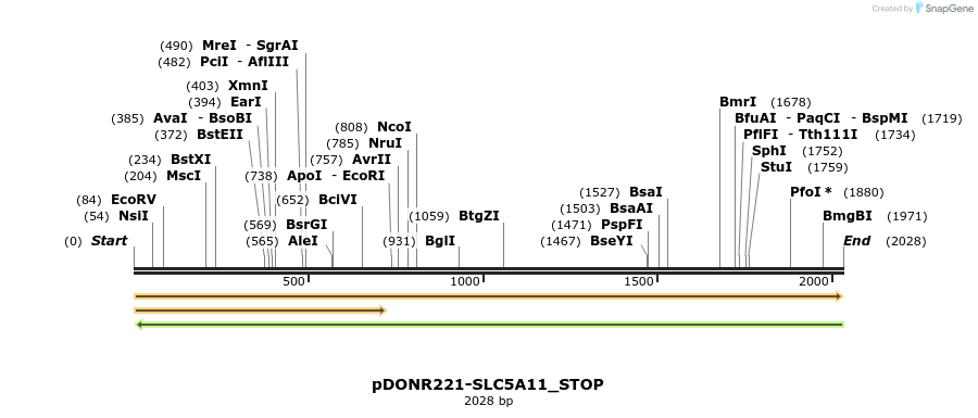 312701_map