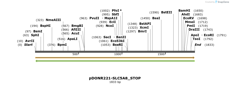 312703_map
