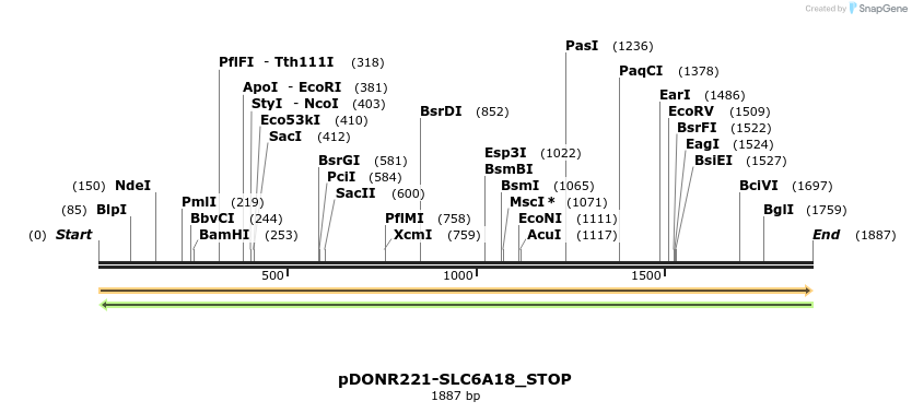 312705_map