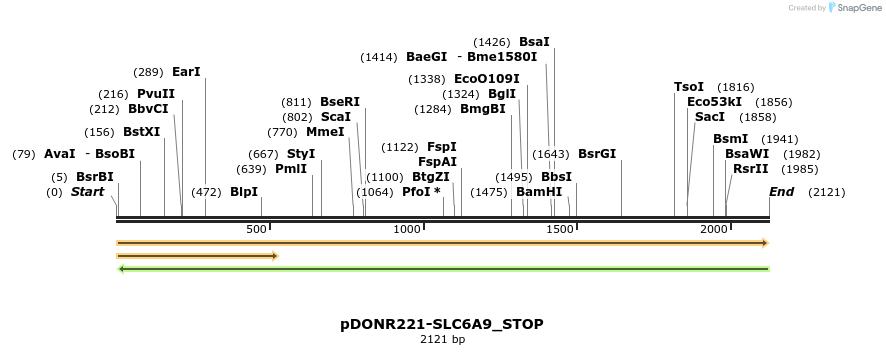 312707_map