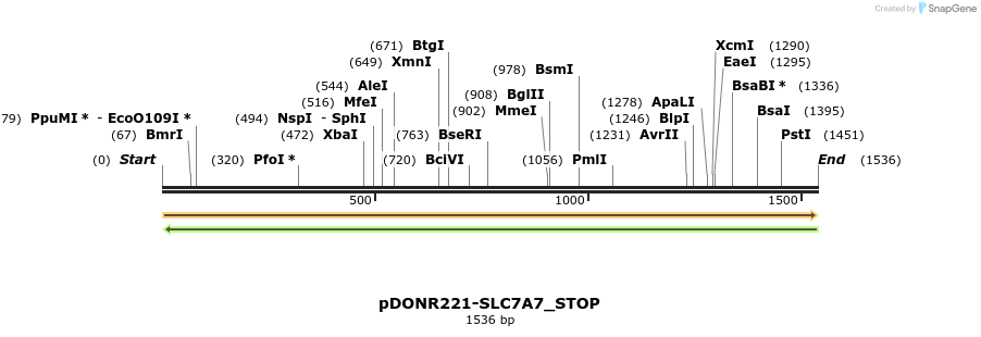 312709_map