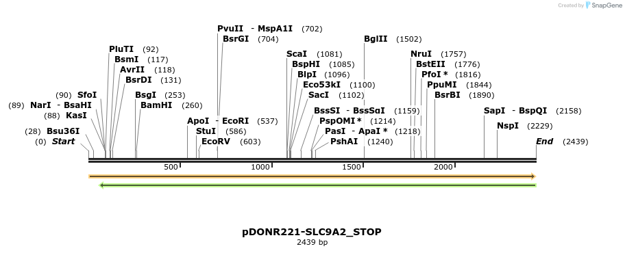 312711_map
