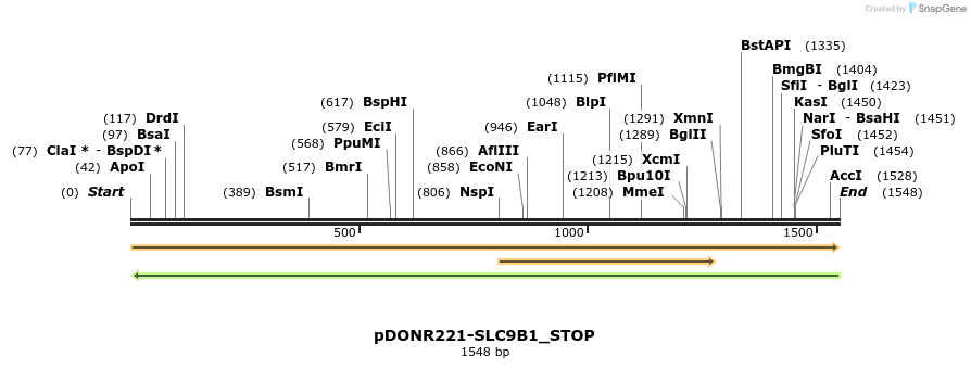 312713_map