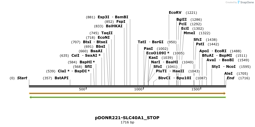 312717_map