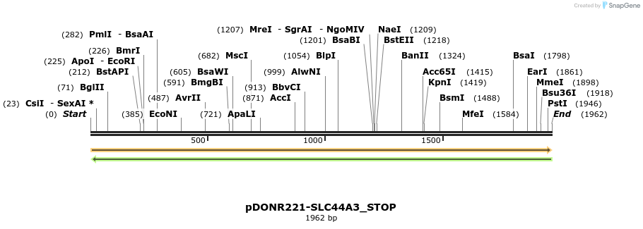 312719_map