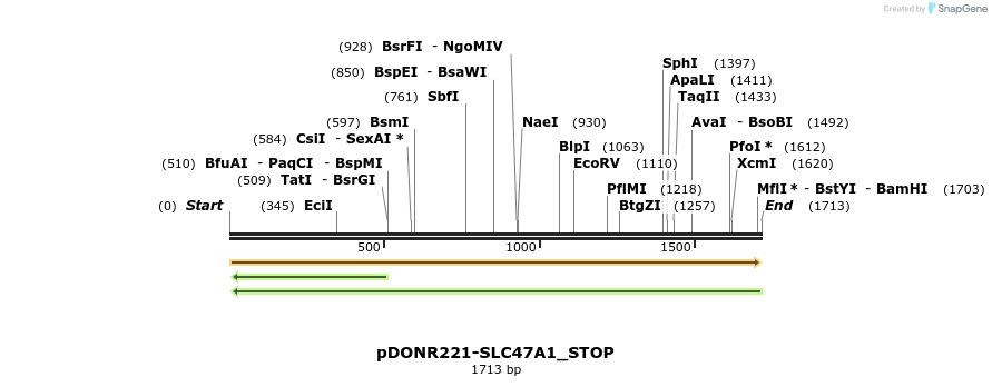 312721_map