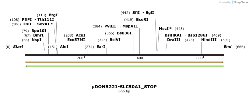 312723_map