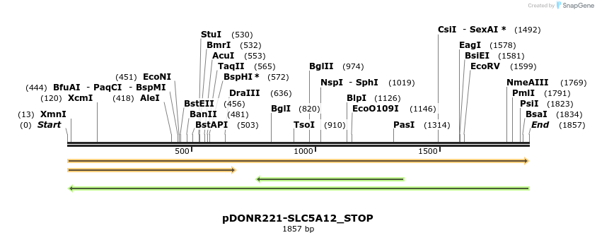 312725_map