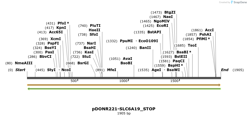 312729_map