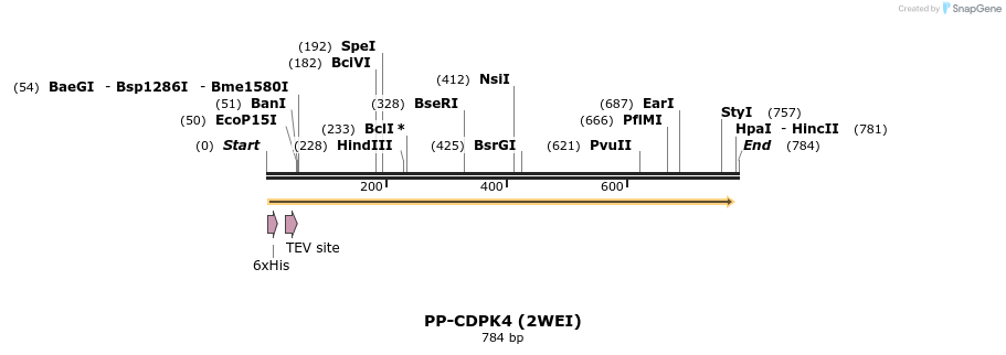 31273_map