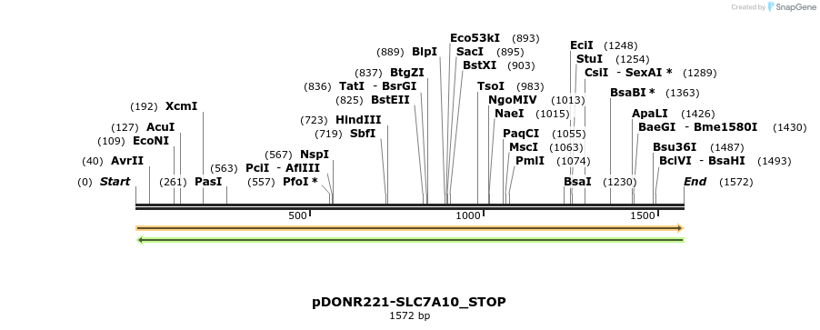 312731_map