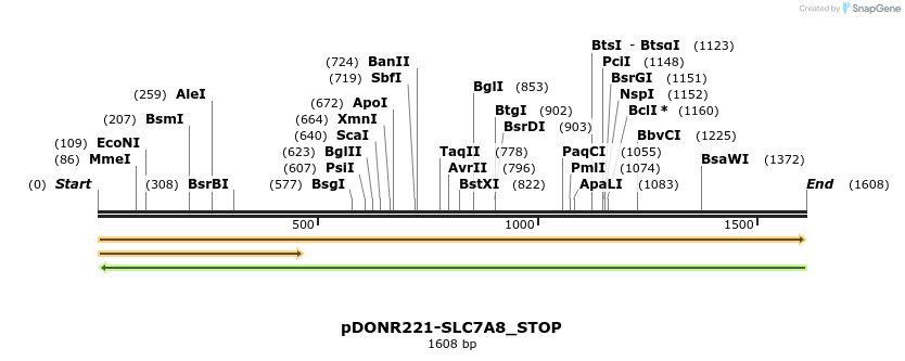312733_map