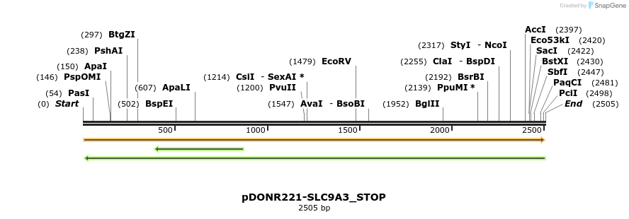 312735_map