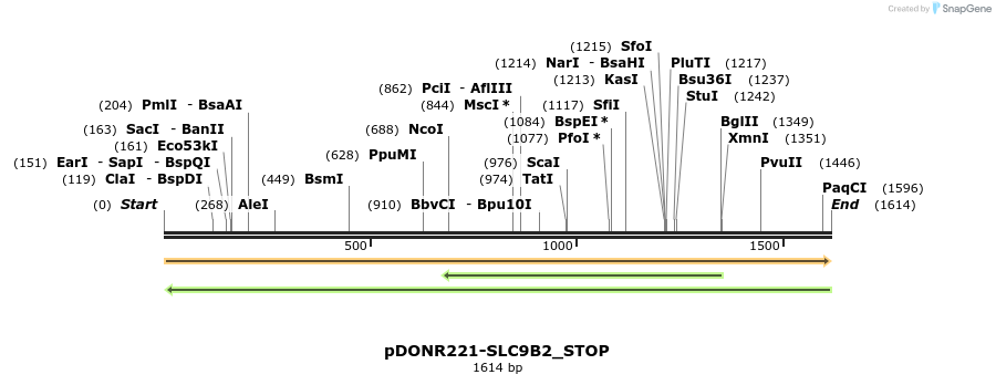 312737_map