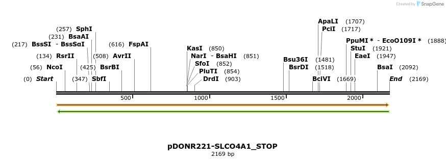 312739_map