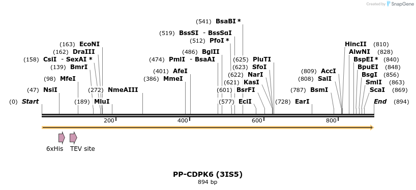 31274_map