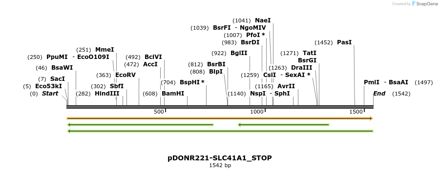 312741_map