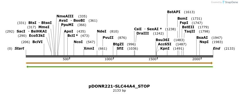 312743_map